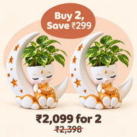 Buy 2 Festival Moon Planters, save 299 rupees: 2,099 rupees for 2