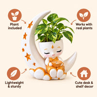 Festival Moon Planter features: plant included, works with real plants, lightweight and sturdy, cute desk and shelf decor