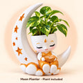Festival Moon Planter with its artificial plant, plant included