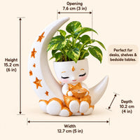 Festival Moon Planter size: height 15.2 cm (6 in), width 12.7 cm (5 in), depth 10.2 cm (4 in), opening 7.6 cm (3 in)