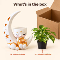 What's in the box: 1 Moon Planter and 1 artificial plant